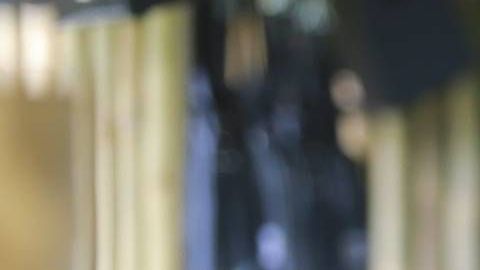Tania Rincón.