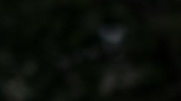 Trabajadores ‘Test + Trace' tocaron en más de 16,700 puertas en Sunset Park para instar a hacerse las pruebas.