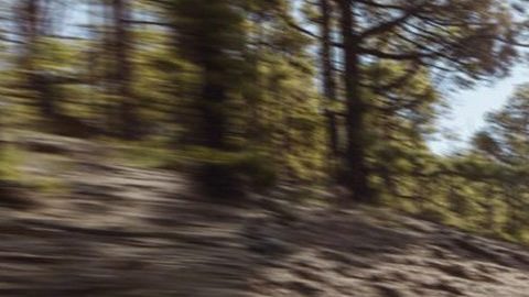 Hyundai Santa Fe. / Foto: Cortesía Hyundai.