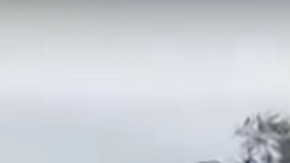 El momento en que el hombre dispara al elefante.