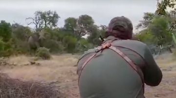 El momento en que el hombre dispara al elefante.