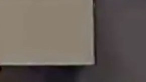 El momento en que dejan al perro morir.