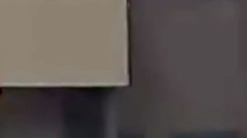 El momento en que dejan al perro morir.