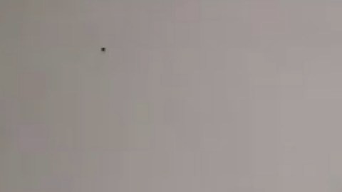 Kristin Urquiza al hablar en la Convención Demócrata.