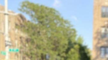 La Ciudad redoblará sus esfuerzos en este vecindario para hacer llegar el mensaje de la importancia de hacerse la prueba lo más pronto posible.