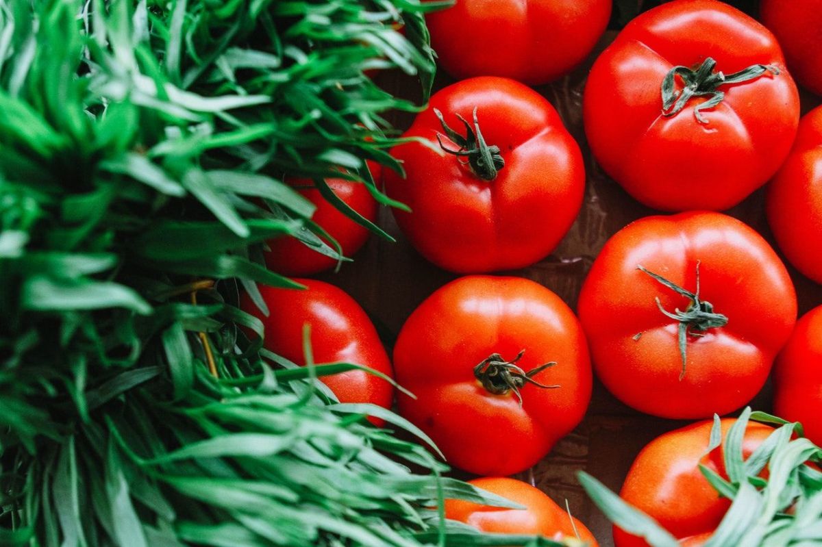 alimentos crudos-tomates