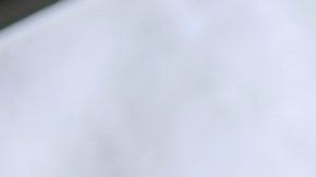 Los compuestos en la canela tienen propiedades antioxidantes, antiinflamatorias, antidiabéticas y antimicrobianas. Foto: Ngô Trọng An/Pexels