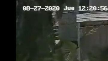 VIDEO: Mexicanos y estadounidenses así son despojados de autos por narcos cerca de frontera