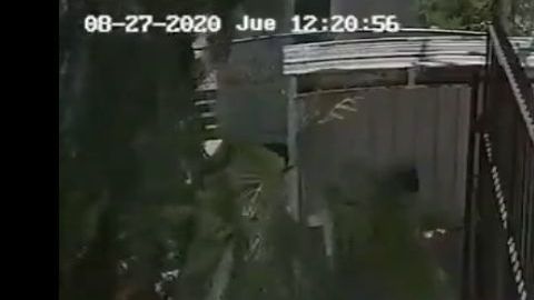 VIDEO: Mexicanos y estadounidenses así son despojados de autos por narcos cerca de frontera