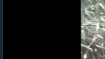 VIDEO: Matan a jovencito con más de 10 balazos, aunque suplicó por su vida no lo perdonaron