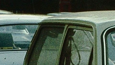 Volkswagen Brasilia