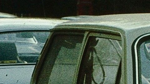 Volkswagen Brasilia