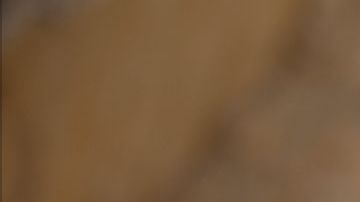 Cuando comenzó la pandemia, Yeison Jiménez se encontraba de gira por Europa; iba a recorrer países como Francia, Italia e Inglaterra. Foto: Sony Music