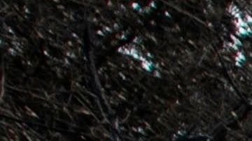 Ruinas de una casa quemada por el LNU Lightning Complex Fire de California.