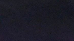 El gol histórico de Tyler Adams.