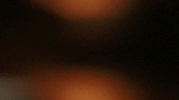 aguacate-bambang adi waluyo en Pixabay