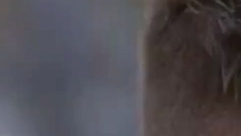 Iván Arana y Angelique Boyer en "Imperio de Mentiras".