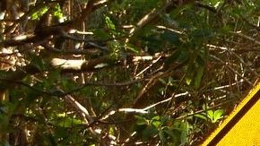 Lo más importante a la hora de conducir es tomar las precauciones necesarias para evitar cualquier tipo de accidente en carretera.