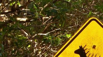 Lo más importante a la hora de conducir es tomar las precauciones necesarias para evitar cualquier tipo de accidente en carretera.