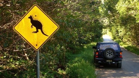 Lo más importante a la hora de conducir es tomar las precauciones necesarias para evitar cualquier tipo de accidente en carretera.