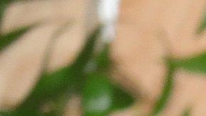 gwyneth paltrow auto