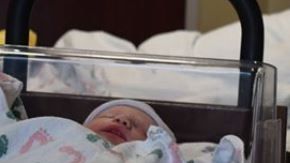 Bebés récord en Texas.