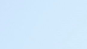 USPS asegura que suspenderá los cambios hasta después de las elecciones.