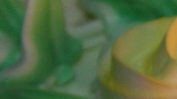 Fiesta de cumpleaños.