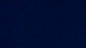 Trump ha perdido amplio apoyo de las mujeres blancas, según las encuestas.