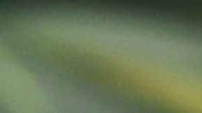 Las leyes aclaran que la marihuana vendida en dispensarios estatales debe ser cultivada en NY. (Foto: AFP)