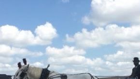 La carroza de Vanessa Guillén.