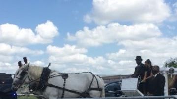 La carroza de Vanessa Guillén.