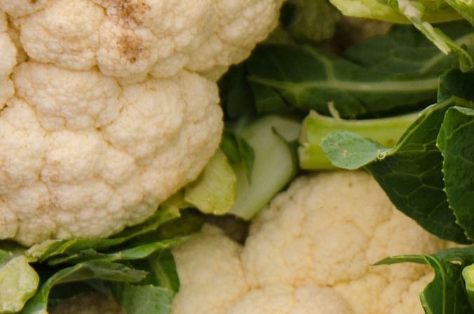 Coliflor.