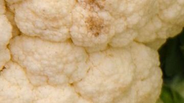 Coliflor.