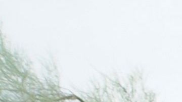 La mascarilla ayuda a protegerse del coronavirus.