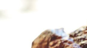 Ten en cuenta los sabores de los ingredientes y cómo interactuarán cuando cocines.
