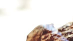 Ten en cuenta los sabores de los ingredientes y cómo interactuarán cuando cocines.