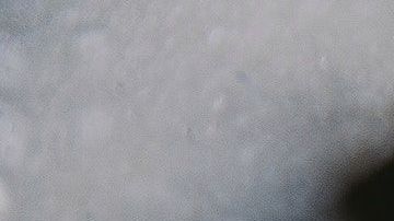 Foto: Daria Shevtsova/Pexels