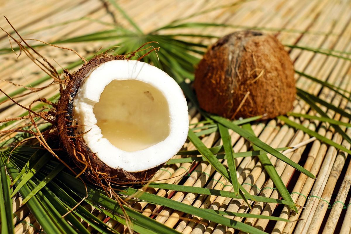 Diabetes: everything you need to know about coconut sugar consumption in diabetics