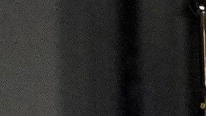 Ivanka Donald Melania Trump