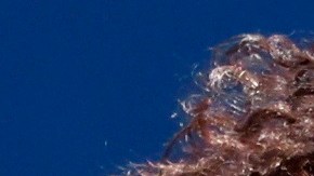 Naomi Osaka de Japón en acción contra Anett Kontaveit de Estonia durante su partido de cuartos de final en el Western and Southern Open en el USTA National Tennis Center en Flushing