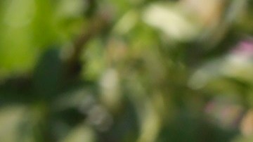 Hay que tomar en cuenta algunos factores para determinar o no su uso necesario.