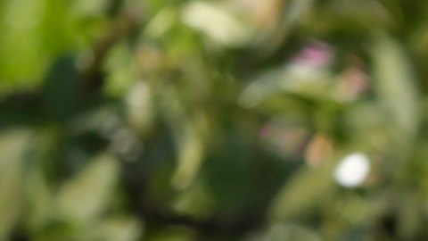 Hay que tomar en cuenta algunos factores para determinar o no su uso necesario.