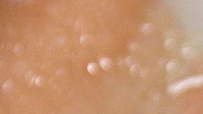 fabrica-pollo-coronavirus