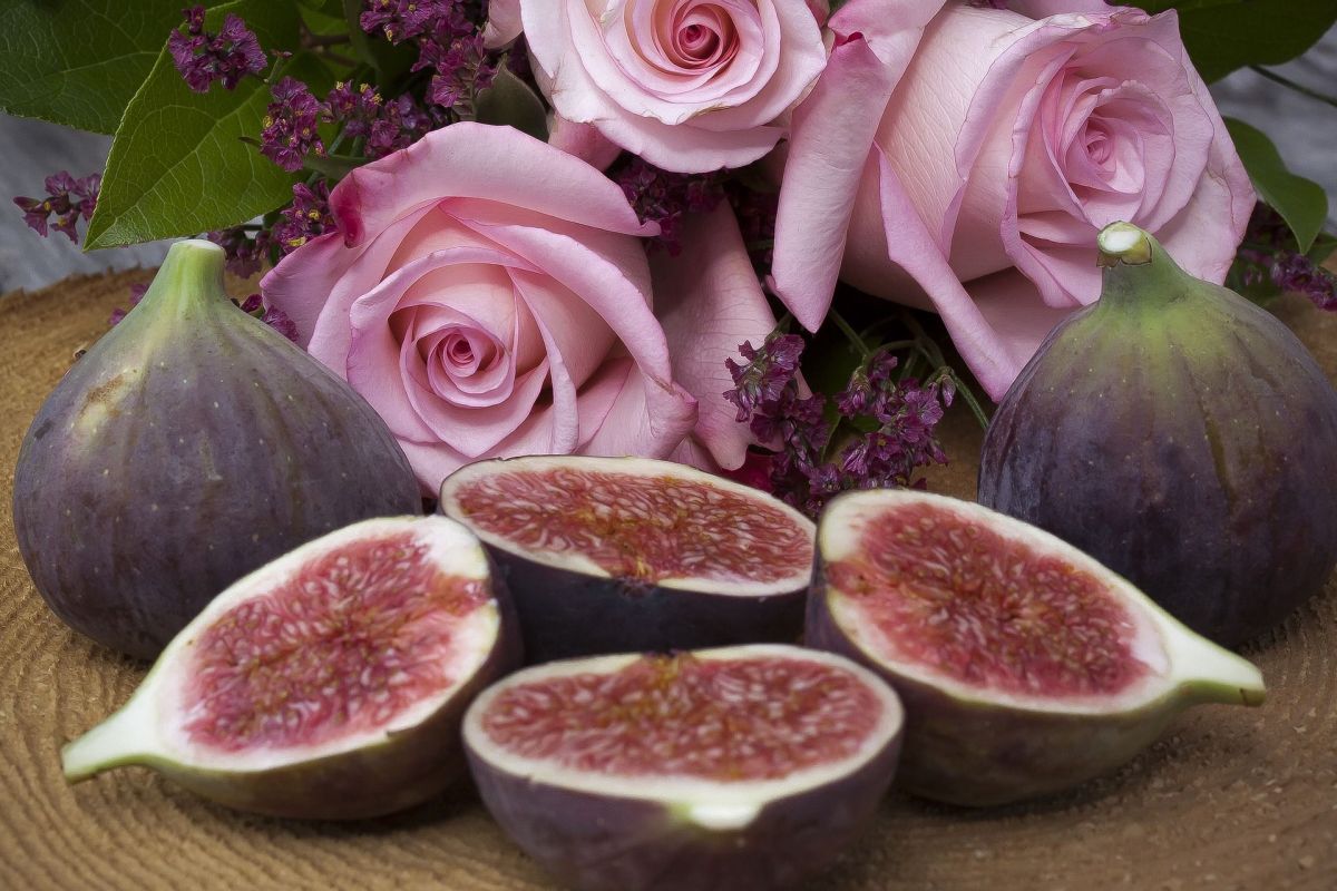 Figs