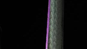 Luz Elena González.