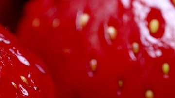 Fresas