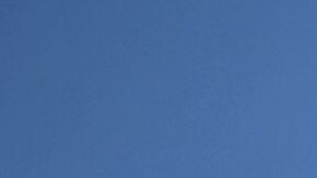 Hay todo un movimiento para que la gente se haga contar.