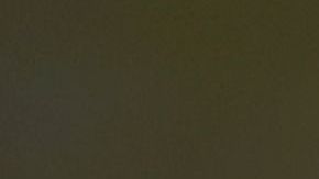 Las autoridades aseguraron que las mordidas de caimán suelen ser habituales en Florida.