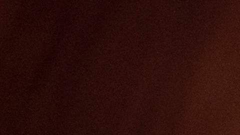 La DEA realizó operativo en Texas.